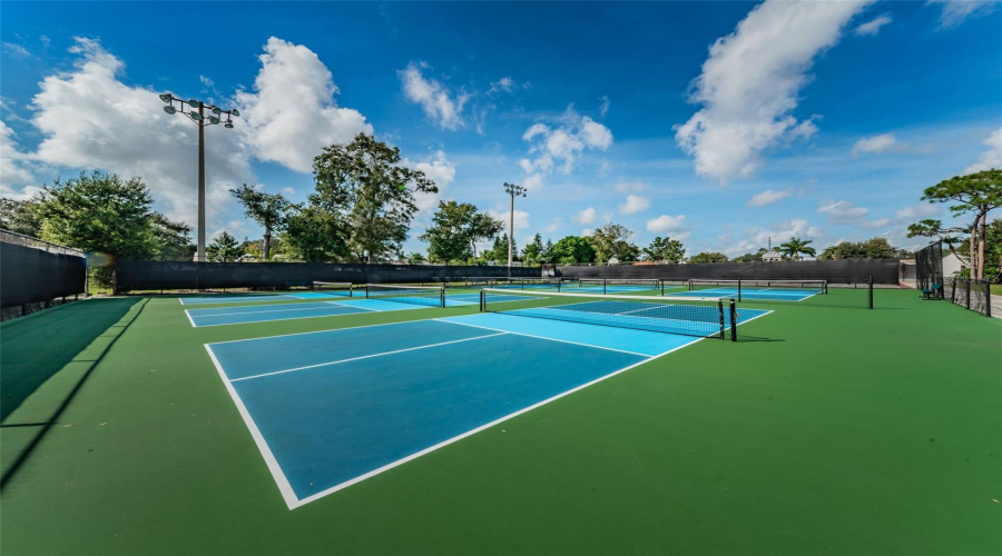 Pickleball And Tennis At The Bardmoor Clubhouse! Open To The Public.