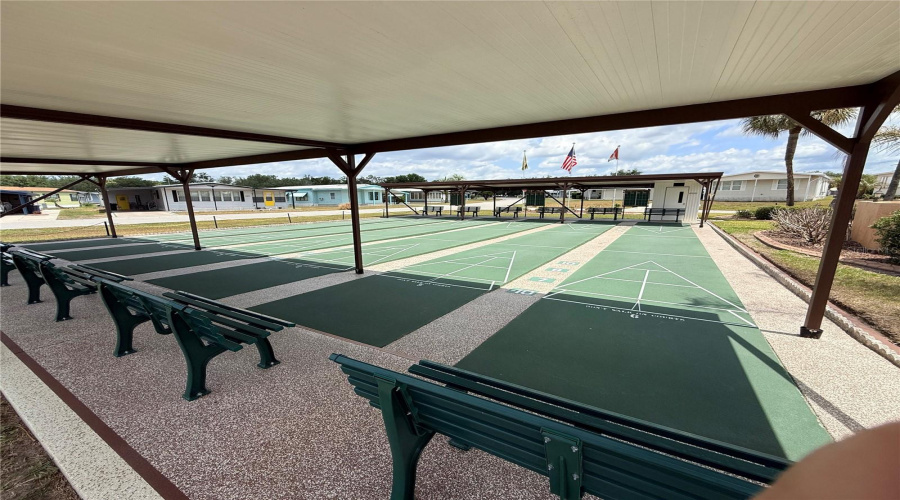 Shuffle Board Court