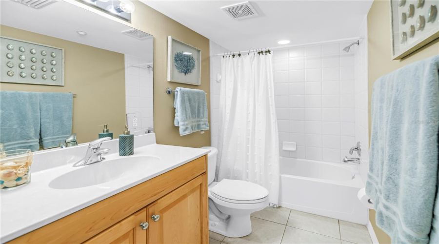 Hall Guest Bathroom