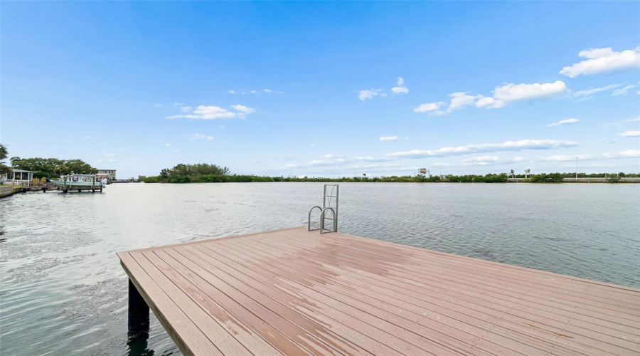Tampa, Florida 33609, 5 Bedroom Bedrooms, ,5 Bathroombathrooms,Residential,For Sale,Mariner,0,Mfrtb8524372