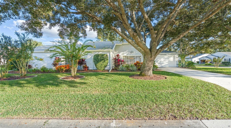 Leesburg, Florida 34748, 2 Bedroom Bedrooms, ,2 Bathroombathrooms,Residential,For Sale,Hibiscus,0,Mfrtb8460495
