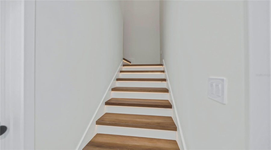 Motion Sensored Illuminated Stairway