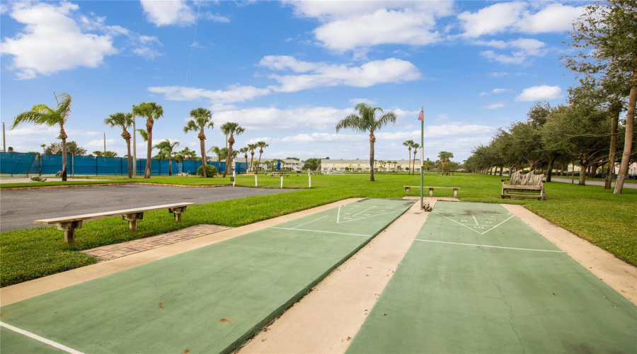 Shuffleboard