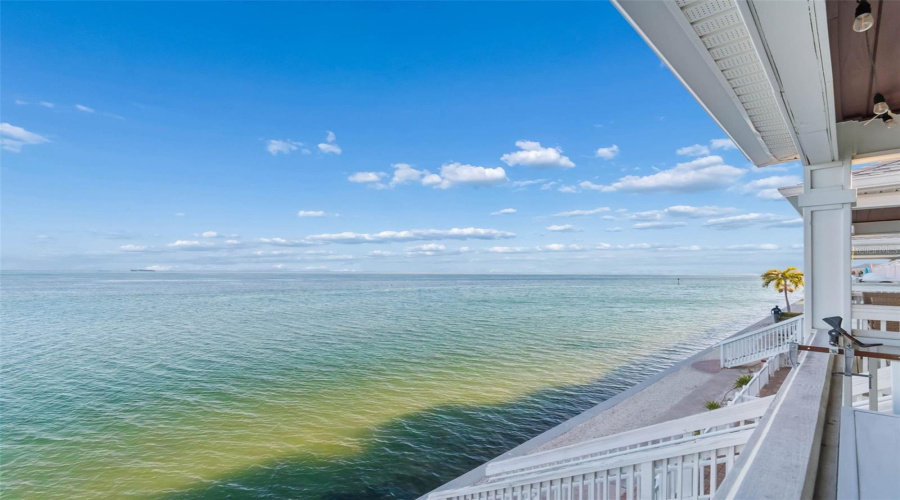 Views Of Tampa Bay