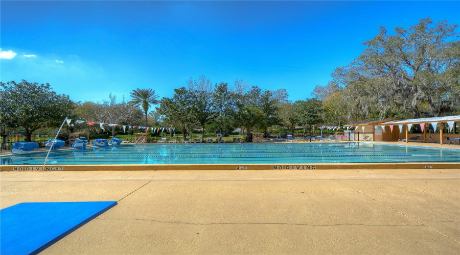 Community Lap Pool