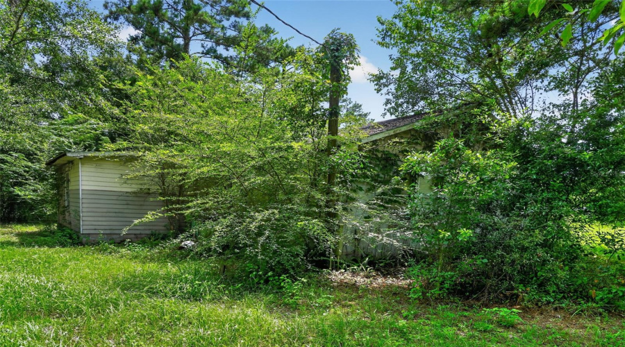 Havana, Florida 32333, 3 Bedroom Bedrooms, ,1 Bathroombathrooms,Residential,For Sale,Chambliss,0,Mfrtb8540935