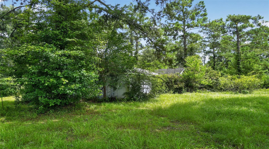 Havana, Florida 32333, 3 Bedroom Bedrooms, ,1 Bathroombathrooms,Residential,For Sale,Chambliss,0,Mfrtb8540935