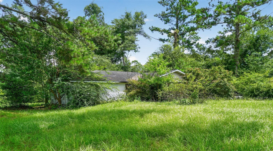 Havana, Florida 32333, 3 Bedroom Bedrooms, ,1 Bathroombathrooms,Residential,For Sale,Chambliss,0,Mfrtb8540935