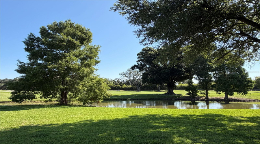 Golf Course/Pond Views