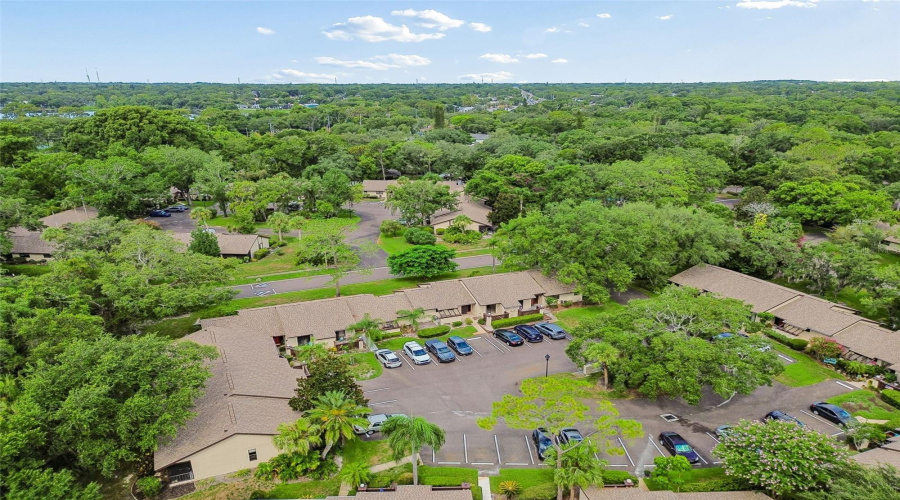 Palm Harbor, Florida 34684, 2 Bedroom Bedrooms, ,2 Bathroombathrooms,Residential,For Sale,Fig,0,Mfrtb8526998