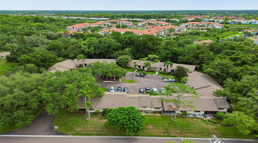 Palm Harbor, Florida 34684, 2 Bedroom Bedrooms, ,2 Bathroombathrooms,Residential,For Sale,Fig,0,Mfrtb8526998