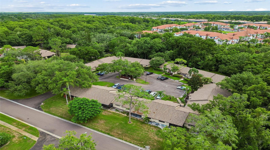 Palm Harbor, Florida 34684, 2 Bedroom Bedrooms, ,2 Bathroombathrooms,Residential,For Sale,Fig,0,Mfrtb8526998