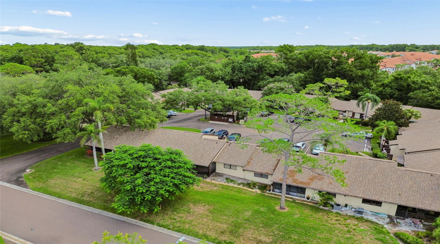 Palm Harbor, Florida 34684, 2 Bedroom Bedrooms, ,2 Bathroombathrooms,Residential,For Sale,Fig,0,Mfrtb8526998