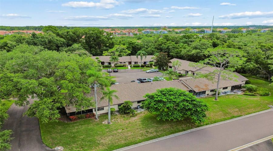 Palm Harbor, Florida 34684, 2 Bedroom Bedrooms, ,2 Bathroombathrooms,Residential,For Sale,Fig,0,Mfrtb8526998