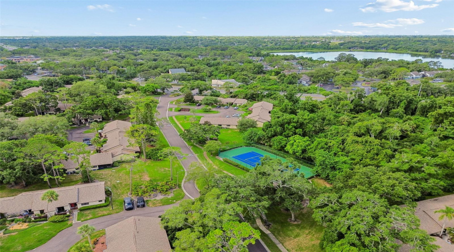 Palm Harbor, Florida 34684, 2 Bedroom Bedrooms, ,2 Bathroombathrooms,Residential,For Sale,Fig,0,Mfrtb8526998