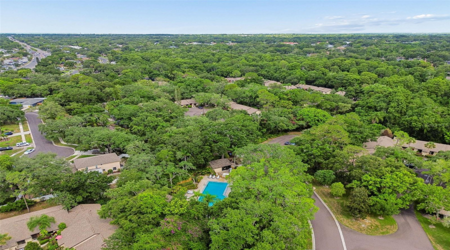 Palm Harbor, Florida 34684, 2 Bedroom Bedrooms, ,2 Bathroombathrooms,Residential,For Sale,Fig,0,Mfrtb8526998