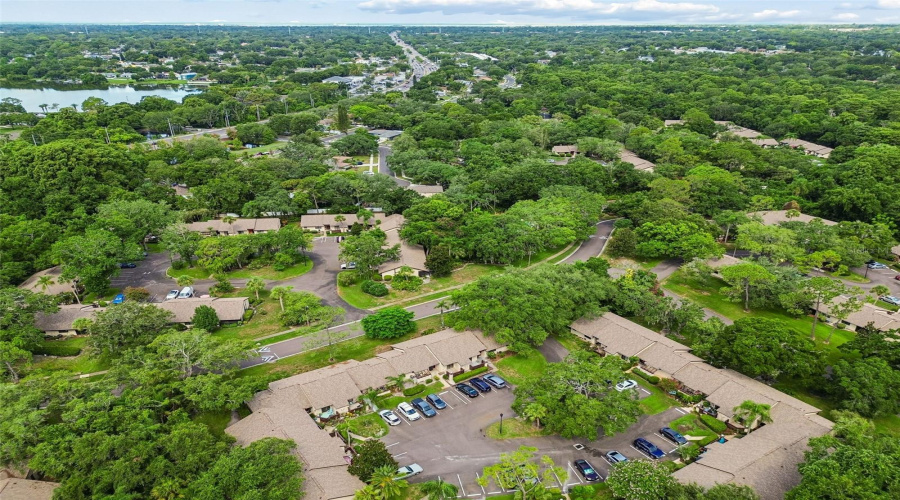 Palm Harbor, Florida 34684, 2 Bedroom Bedrooms, ,2 Bathroombathrooms,Residential,For Sale,Fig,0,Mfrtb8526998