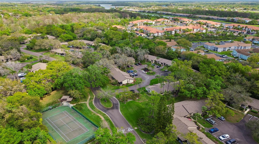 Palm Harbor, Florida 34684, 2 Bedroom Bedrooms, ,2 Bathroombathrooms,Residential,For Sale,Fig,0,Mfrtb8526998