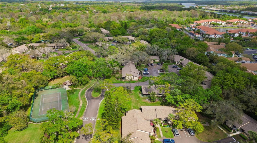 Palm Harbor, Florida 34684, 2 Bedroom Bedrooms, ,2 Bathroombathrooms,Residential,For Sale,Fig,0,Mfrtb8526998