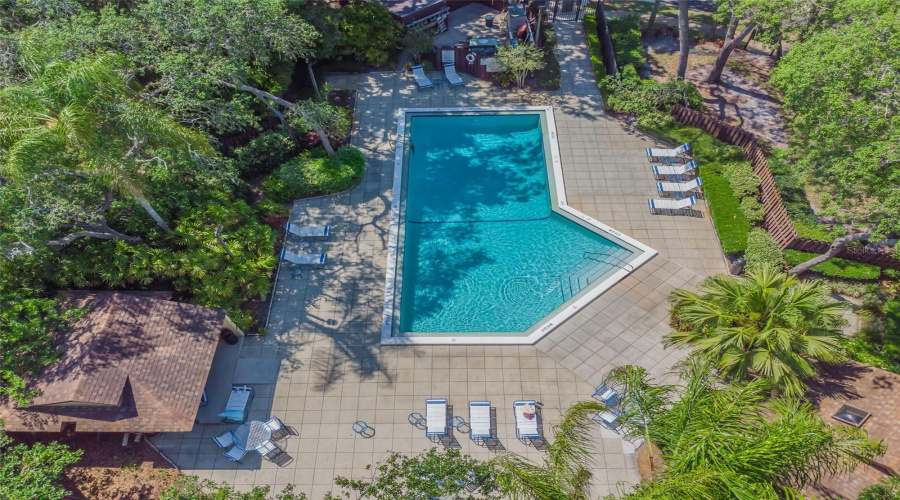 Palm Harbor, Florida 34684, 2 Bedroom Bedrooms, ,2 Bathroombathrooms,Residential,For Sale,Fig,0,Mfrtb8526998