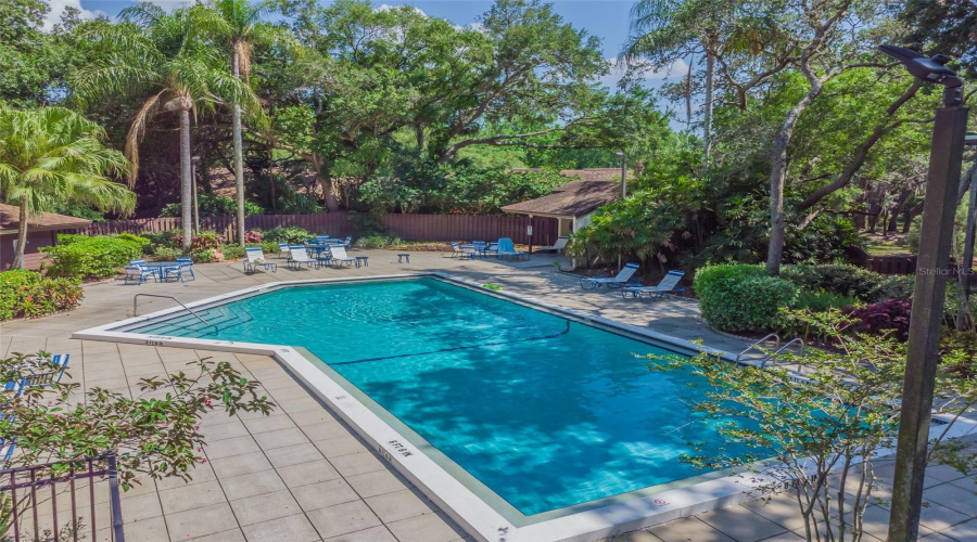 Palm Harbor, Florida 34684, 2 Bedroom Bedrooms, ,2 Bathroombathrooms,Residential,For Sale,Fig,0,Mfrtb8526998