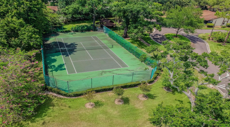 Palm Harbor, Florida 34684, 2 Bedroom Bedrooms, ,2 Bathroombathrooms,Residential,For Sale,Fig,0,Mfrtb8526998