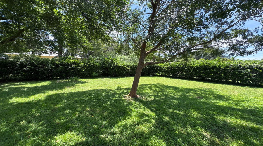 Beverly Hills, Florida 34465, 2 Bedroom Bedrooms, ,1 Bathroombathrooms,Residential,For Sale,Maidencane,0,Mfrtb8542635
