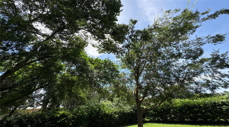 Beverly Hills, Florida 34465, 2 Bedroom Bedrooms, ,1 Bathroombathrooms,Residential,For Sale,Maidencane,0,Mfrtb8542635