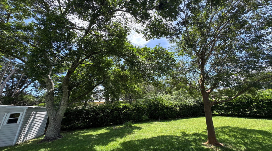 Beverly Hills, Florida 34465, 2 Bedroom Bedrooms, ,1 Bathroombathrooms,Residential,For Sale,Maidencane,0,Mfrtb8542635
