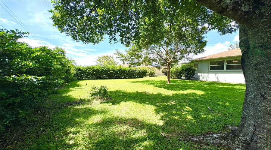 Beverly Hills, Florida 34465, 2 Bedroom Bedrooms, ,1 Bathroombathrooms,Residential,For Sale,Maidencane,0,Mfrtb8542635