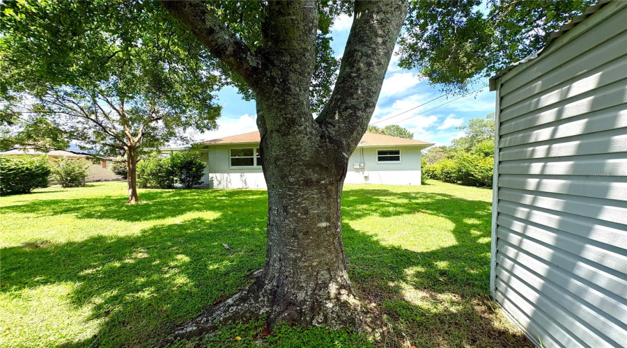 Beverly Hills, Florida 34465, 2 Bedroom Bedrooms, ,1 Bathroombathrooms,Residential,For Sale,Maidencane,0,Mfrtb8542635