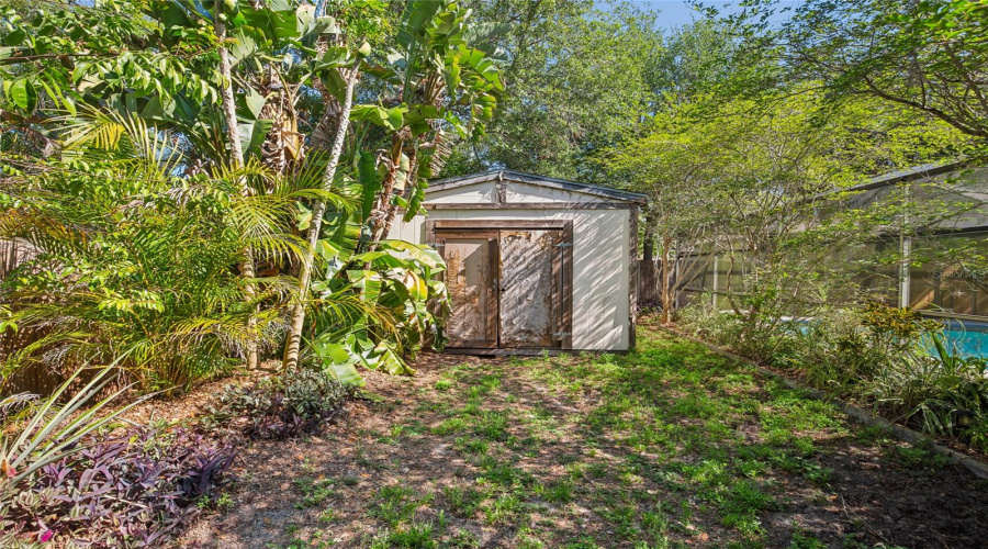 Shed