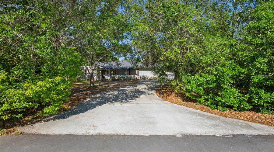 Driveway