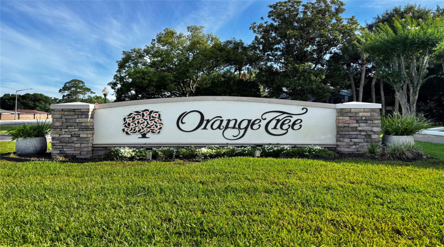 Orlando, Florida 32819, 2 Bedroom Bedrooms, ,2 Bathroombathrooms,Residential,For Sale,Parson Brown,0,Mfro6418967