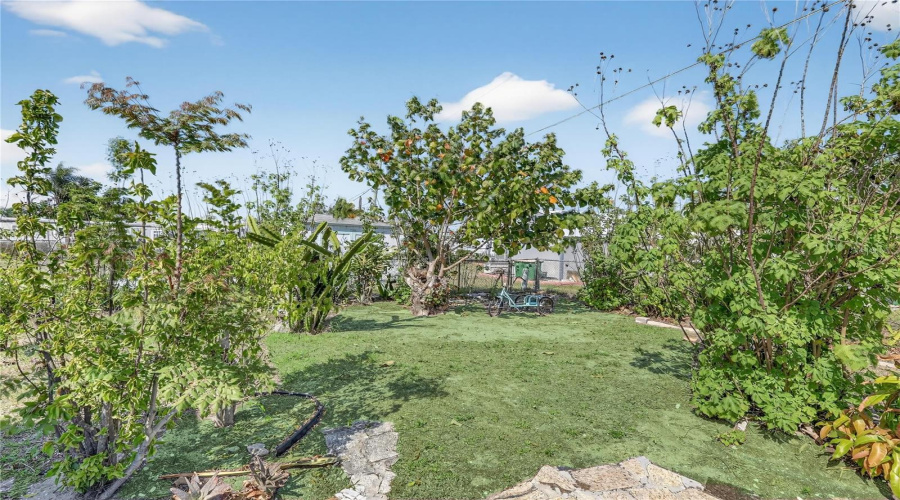 Rear Of Subject Property