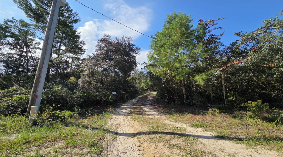 Second Driveway