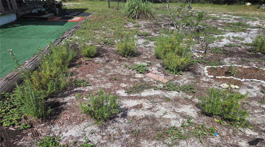 Herb Garden