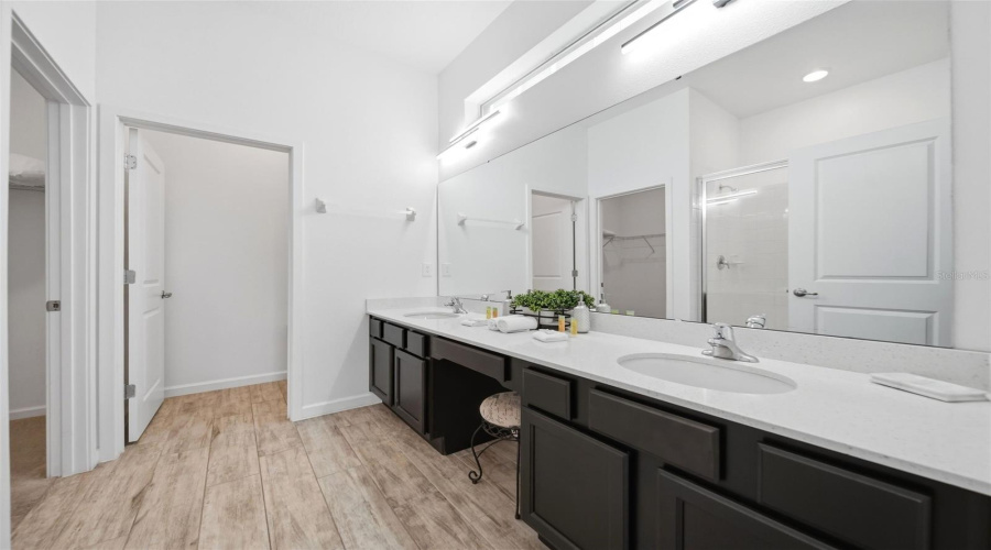 Primary Bathroom (First Level)