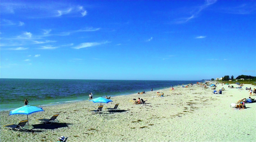 Venice Island