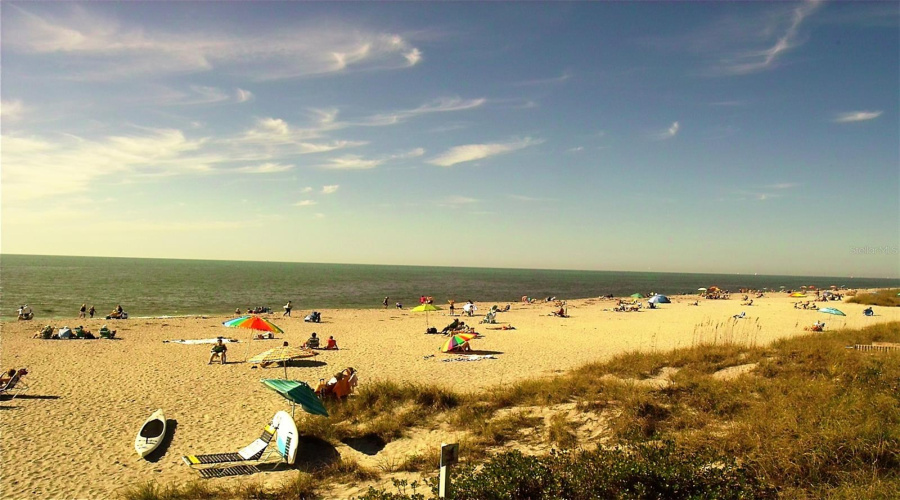 Venice Island