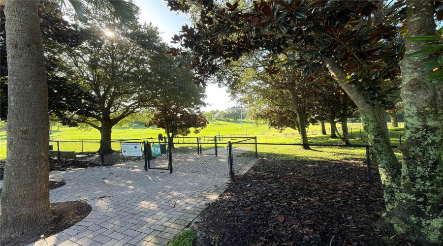 Mount Dora, Florida 32757, 4 Bedroom Bedrooms, ,2 Bathroombathrooms,Residential,For Sale,Tokara,0,Mfrv4950784