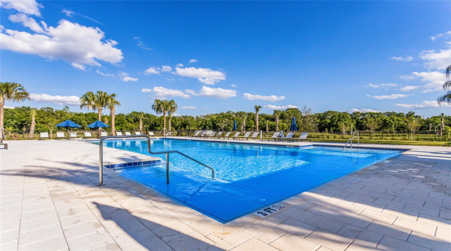 Lakewood Ranch, Florida 34211, 4 Bedroom Bedrooms, ,2 Bathroombathrooms,Residential,For Sale,American Prairie,0,Mfra4703825