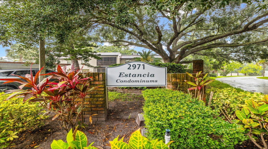 Clearwater, Florida 33761, 2 Bedroom Bedrooms, ,2 Bathroombathrooms,Residential,For Sale,Estancia,0,Mfrtb8541827