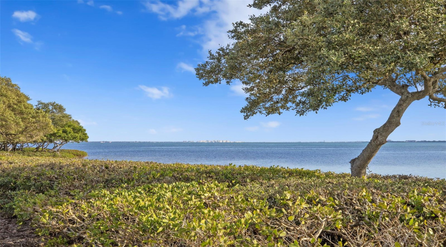 Bradenton, Florida 34210, 2 Bedroom Bedrooms, ,2 Bathroombathrooms,Residential,For Sale,Tidy Island,0,Mfra4674328