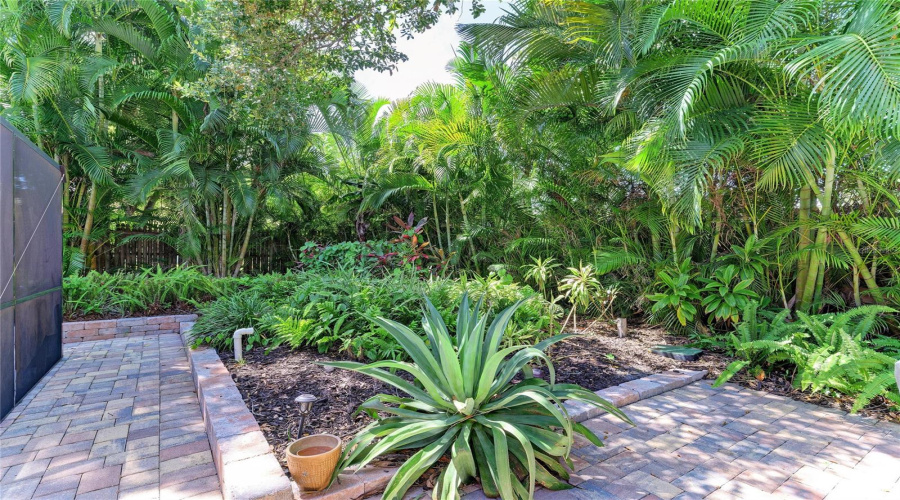 Tropical Landscapes
