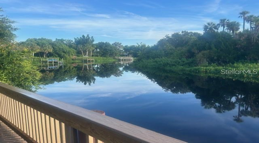 Braden River From Fishing Pier
