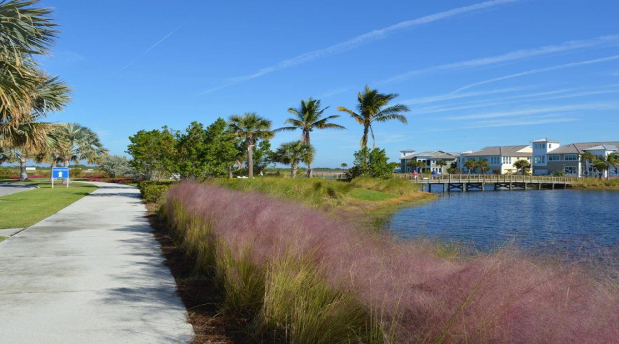 Lakeside Walking Path