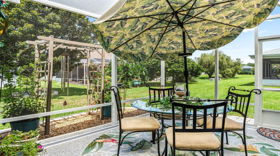 A Charming Patio Beneath A Decorative Canopy Umbrella Offers A Comfortable Setting For Outdoor Dining, Morning Coffee, Or Casual Entertaining. Birdcage Is Roofed With Clear Florida Plexiglass For A Dry Environment!