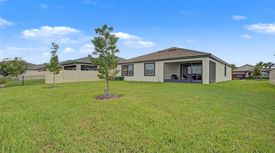 Large Back Yard