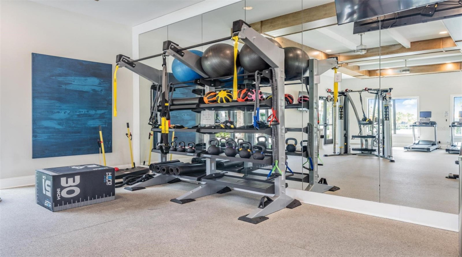 Gym